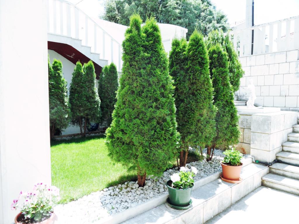 Adria Apartments And Rooms Dubrovnik Luaran gambar